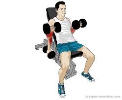 Haltère et banc pour la musculation des biceps